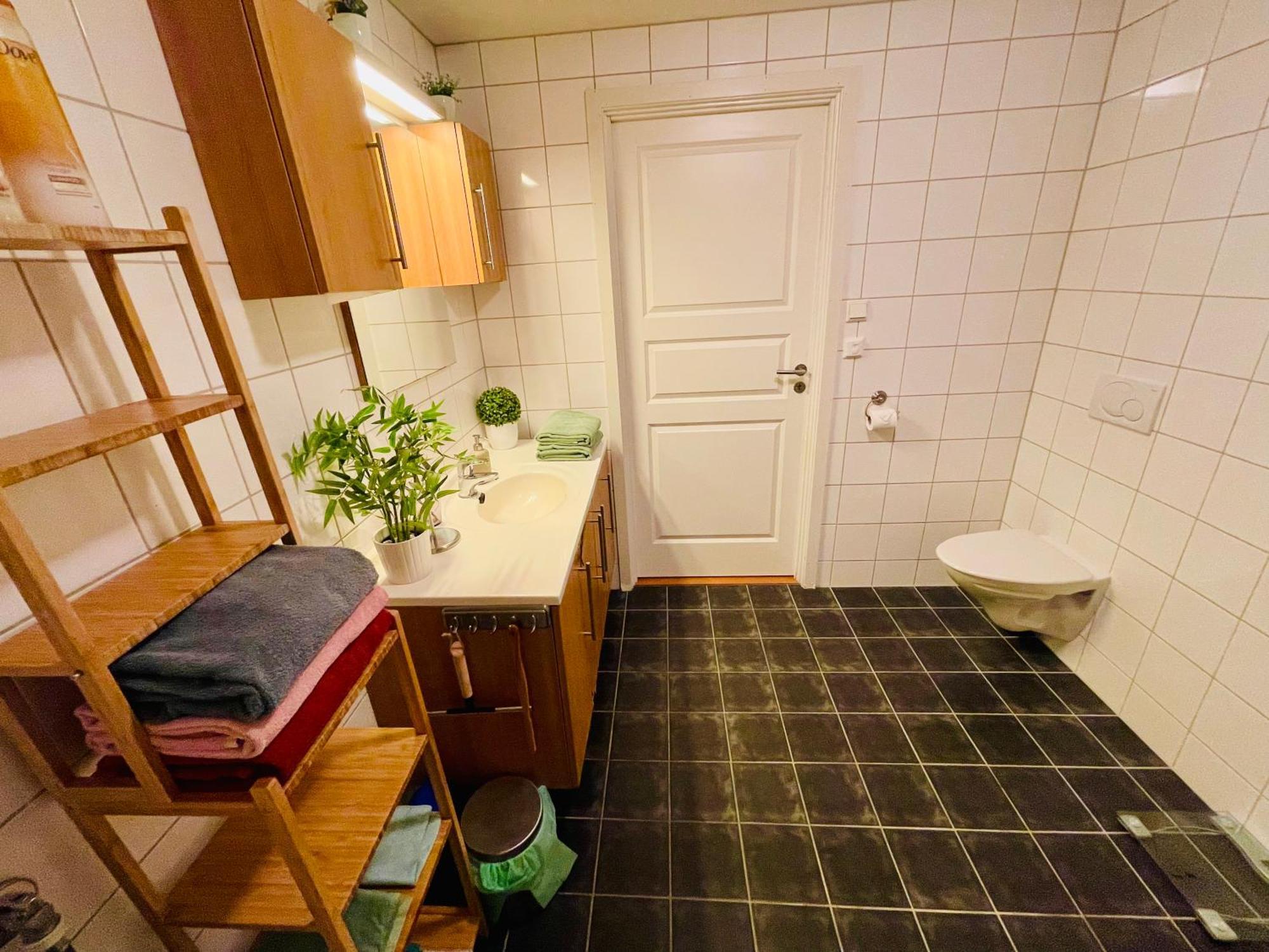 Spacious Modern Apartment Trondheim Buitenkant foto